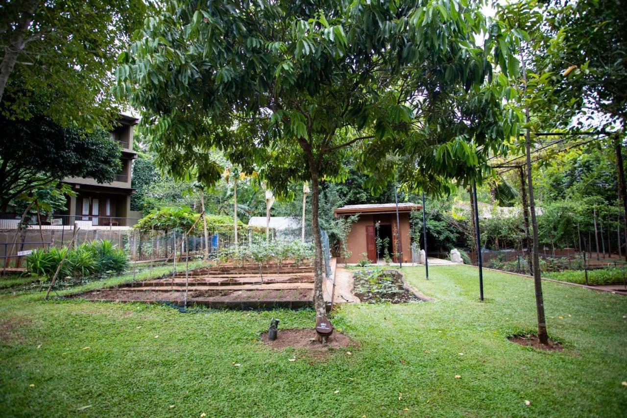 Kalu'S Hideaway Udawalawe Hotel Luaran gambar