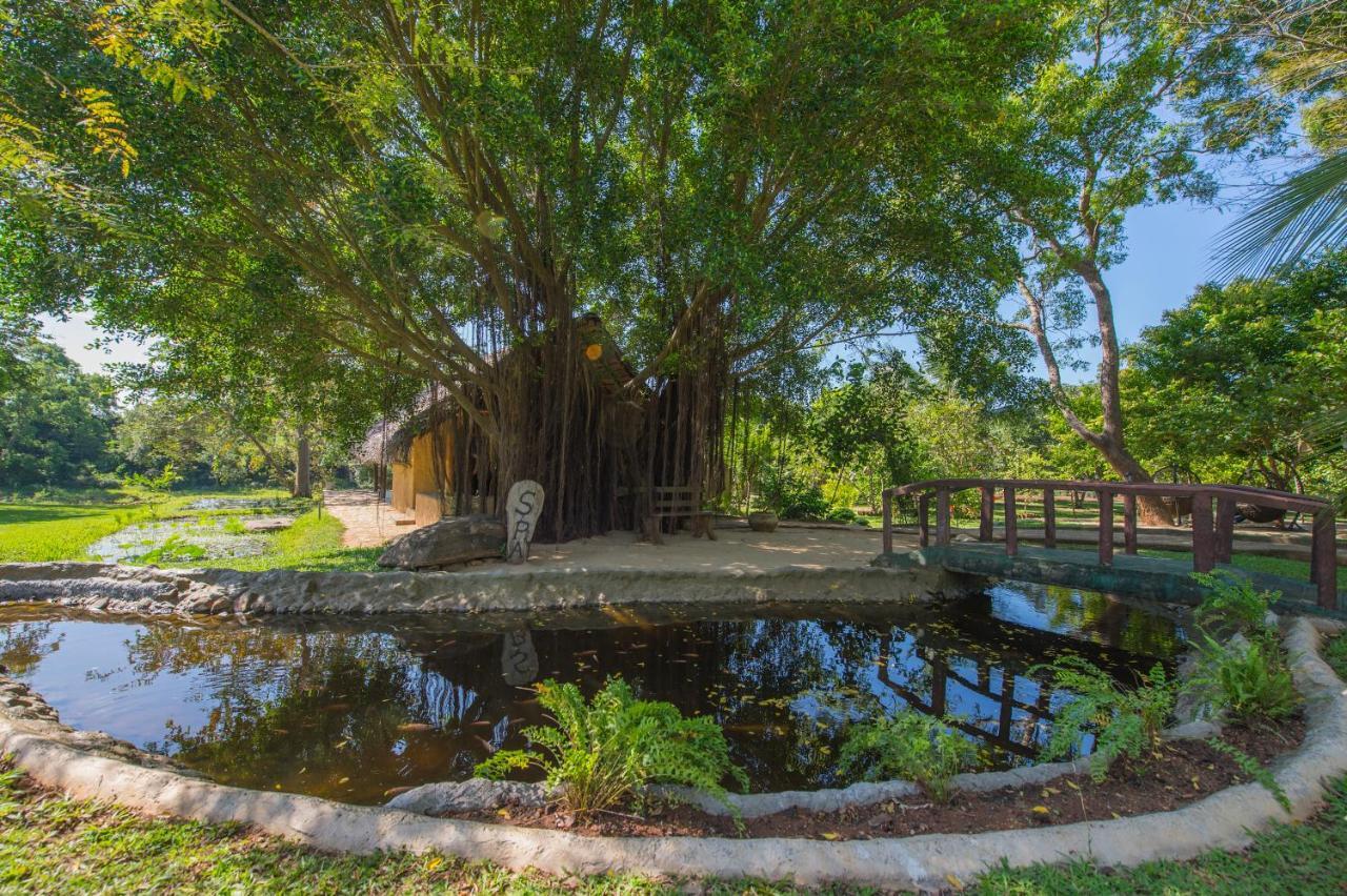 Kalu'S Hideaway Udawalawe Hotel Luaran gambar