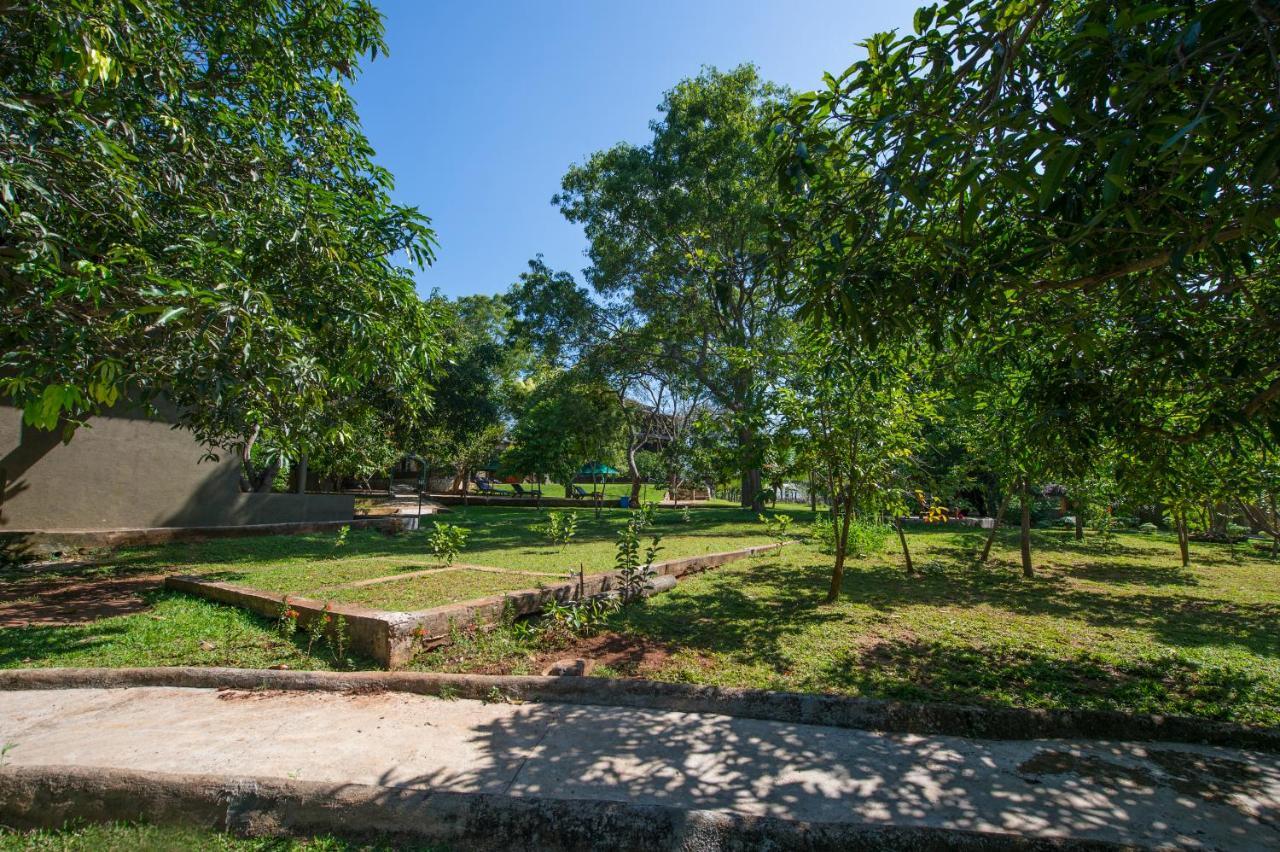Kalu'S Hideaway Udawalawe Hotel Luaran gambar